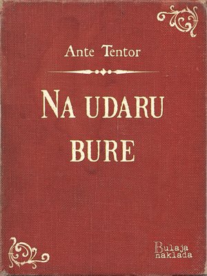 cover image of Na udaru bure